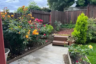 1931 Glen Ave, San Bruno, CA 94066 - Photo 39