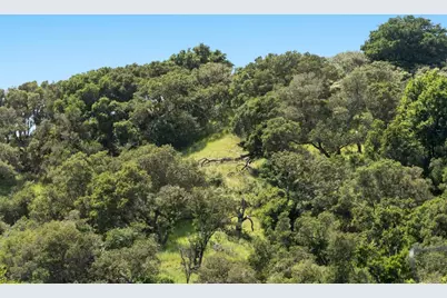3307 Bay Ct, Belmont, CA 94002 - Photo 23