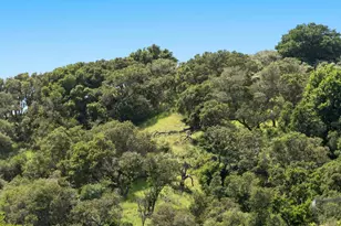 3307 Bay Ct, Belmont, CA 94002 - Photo 21