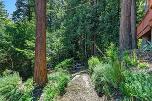 9937 Rosebloom Ave, Felton, CA 95018 - Photo 49