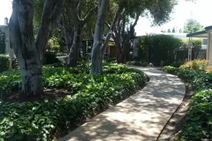 52 Palomar Real 52, Campbell, CA 95008 - Photo 35