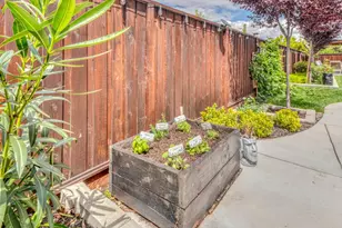 211 Scarlett Wy, Hollister, CA 95023 - Photo 73