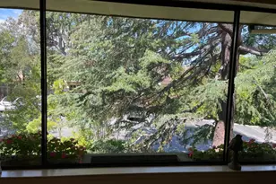 2140 Santa Cruz Ave 203, Menlo Park, CA 94025 - Photo 5
