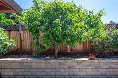 4474 Poinsettia Ct, San Jose, CA 95136 - Photo 49