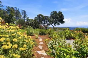 350 Corralitos Ridge Rd, Watsonville, CA 95076 - Photo 59