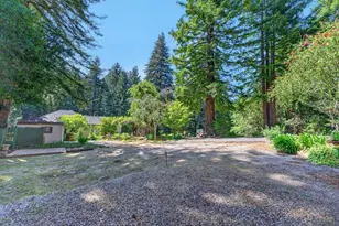 303 Sanborn Ln, Felton, CA 95018 - Photo 53