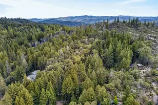 515 Burnside Bend, Boulder Creek, CA 95006 - Photo 69