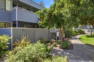 942 La Barbera Dr, San Jose, CA 95126 - Photo 29