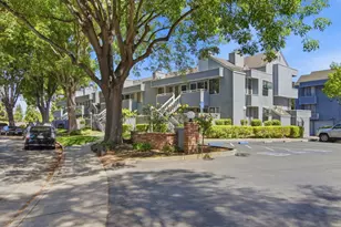 942 La Barbera Dr, San Jose, CA 95126 - Photo 33