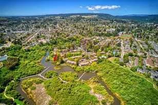 138 Tree Frog Ln, Santa Cruz, CA 95060 - Photo 41