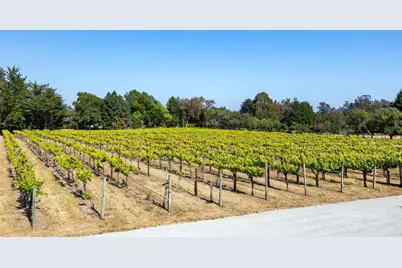 3357 Chardonnay Rd, Soquel, CA 95073 - Photo 37
