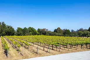 3357 Chardonnay Rd, Soquel, CA 95073 - Photo 37