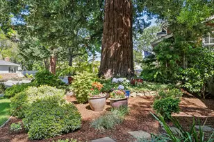 111 Elm St, Menlo Park, CA 94025 - Photo 3
