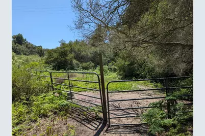 4576 Paul Sweet Rd, Santa Cruz, CA 95065 - Photo 5