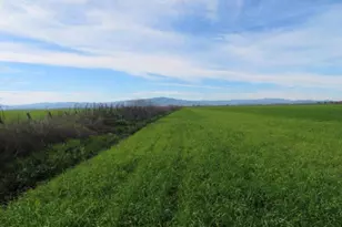 4790 Pacheco Pass Hwy, Gilroy, CA 95020 - Photo 35