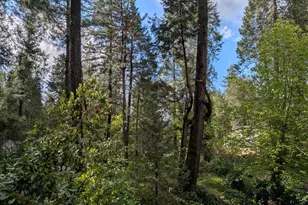 13020 Sadie D Dr, Nevada City, CA 95959 - Photo 53
