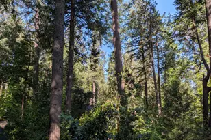 13020 Sadie D Dr, Nevada City, CA 95959 - Photo 51