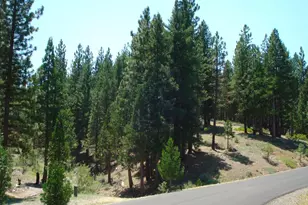976 Moon Shadow, Portola, CA 96122 - Photo 1