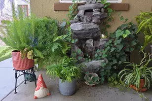 2041 Santoro Wy, Hollister, CA 95023 - Photo 23