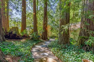 1100 Old La Honda Rd, Woodside, CA 94062 - Photo 3