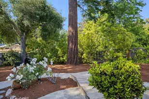 227 Alexander Ave, Los Gatos, CA 95030 - Photo 55