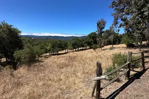 389 Moore Rd, Woodside, CA 94062 - Photo 21