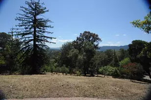 389 Moore Rd, Woodside, CA 94062 - Photo 11