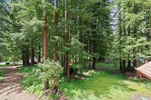266 Coffeeberry Dr, Boulder Creek, CA 95006 - Photo 39