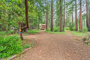 266 Coffeeberry Dr, Boulder Creek, CA 95006 - Photo 59