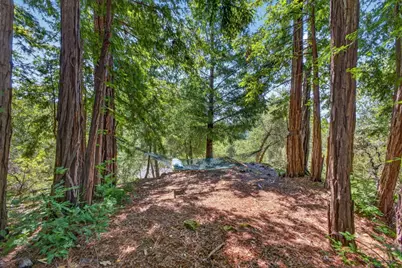 780 Elsie Mae Dr, Boulder Creek, CA 95006 - Photo 45
