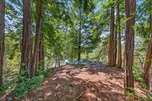780 Elsie Mae Dr, Boulder Creek, CA 95006 - Photo 45