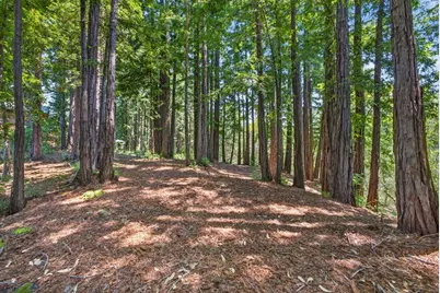 780 Elsie Mae Dr, Boulder Creek, CA 95006 - Photo 43