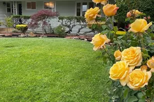 873 Cottonwood Dr, Cupertino, CA 95014 - Photo 7