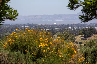 13057 La Cresta Dr, Los Altos Hills, CA 94022 - Photo 49
