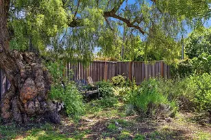 3705 Pasadena Dr, San Mateo, CA 94403 - Photo 39