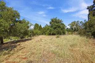 19288 Bainter Ave, Saratoga, CA 95070 - Photo 73