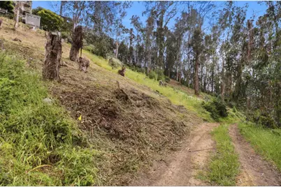 Avenue Portola, El Granada, CA 94019 - Photo 5