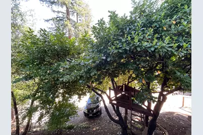 200 Railroad Ave, Ben Lomond, CA 95005 - Photo 41