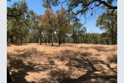 0 Bridle Trail, Pilot Hill, CA 95664 - Photo 3