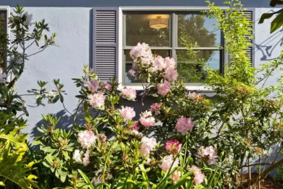 219 29th Ave, San Mateo, CA 94403 - Photo 79