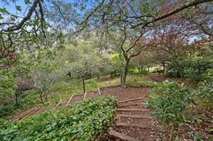 2215 Coronet Blvd, Belmont, CA 94002 - Photo 47