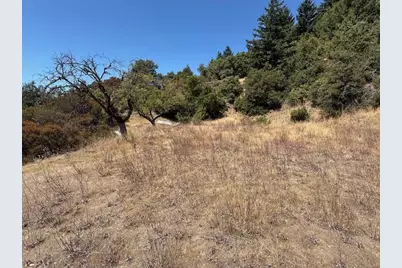 105 Silverline Rd, Los Gatos, CA 95033 - Photo 17