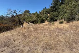 105 Silverline Rd, Los Gatos, CA 95033 - Photo 17