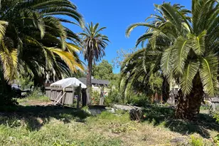Beech St, East Palo Alto, CA 94303 - Photo 5