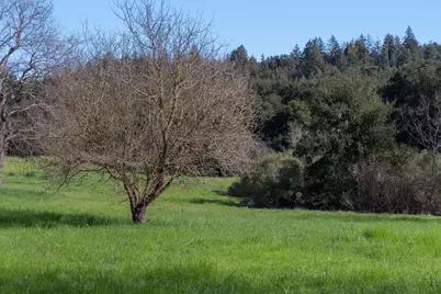 6221 Graham Hill Rd, Felton, CA 95018 - Photo 9