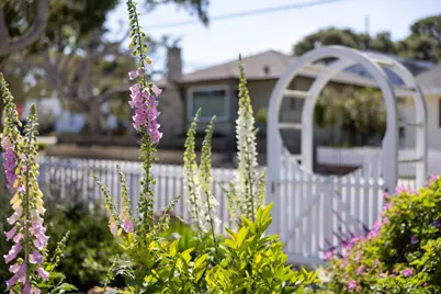 315 Willow St, Pacific Grove, CA 93950 - Photo 63