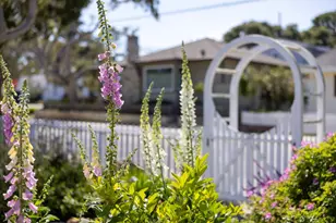 315 Willow St, Pacific Grove, CA 93950 - Photo 63