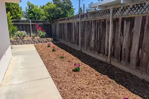 880 Goodwin Ave, San Jose, CA 95128 - Photo 21