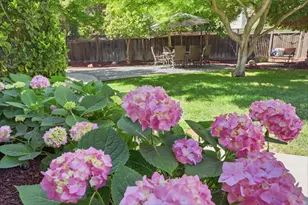 918 Chabrant Way, San Jose, CA 95125 - Photo 47