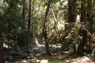 7150 Croy Rd A, Morgan Hill, CA 95037 - Photo 39
